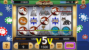 Welcome Bonus v5v
